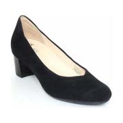 Ballerina's Ara -
