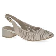 Ballerina's Caprice -