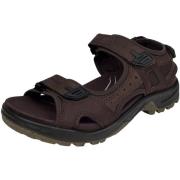 Wandelschoenen Ecco -