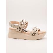 Sandalen CallagHan 29926 Floty