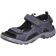 Fitness Schoenen Ecco -