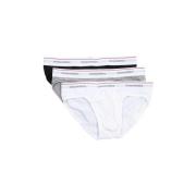 Slips Dsquared -