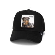 Pet Goorin -