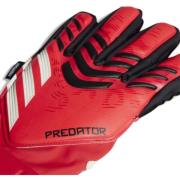 Sportaccessoires adidas -