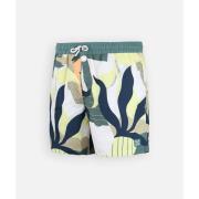 Zwembroek Oxbow Strand korte verticale streep WIPEOUT