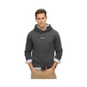 Sweater Superdry Sweatshirt à capuche et micro logo