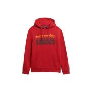 Sweater Superdry Sweatshirt à capuche Stacked