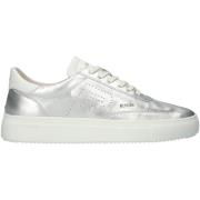 Sneakers Blackstone Baskets femme Slate Harper