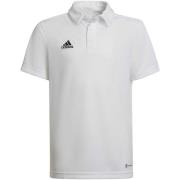T-shirt adidas -