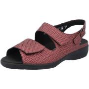 Sandalen Solidus Lia