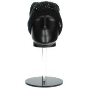 Hoed Gaudi V4AI-11960