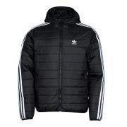 Donsjas adidas PAD HOODED PUFF