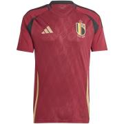 Onderhemden adidas Maillot Domicile Belgique Euro 2024