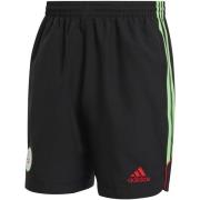 Korte Broek adidas Short Algérie UBP 2024/25