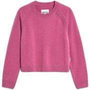 Trui Armedangels Pull femme Diliriaa Reglana