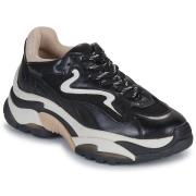 Lage Sneakers Ash ADDICT