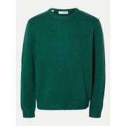 Trui Selected 16094643 CODY-RAIN FOREST