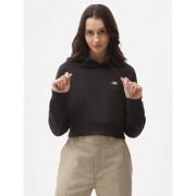 Sweater Dickies OAKPORT CROPPED - DK0A4XJT-BLK BLACK