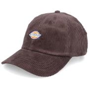 Hoed Dickies HARDWICK CORDUROY DK0A4Y2M-0CB1 CHOCOLAT