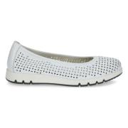 Ballerina's Caprice -