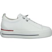 Lage Sneakers Paul Green Sneaker