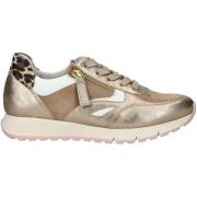 Lage Sneakers Gabor Sneaker