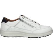 Lage Sneakers Josef Seibel Sneaker