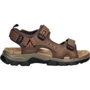 Sandalen Dockers Sandalen