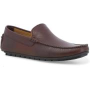 Mocassins Melluso U16012Z-248866