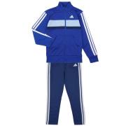 Trainingspak adidas Seasonal Essentials Tiberio 3-Stripes Tricot Track...