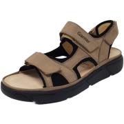 Wandelschoenen Diverse -