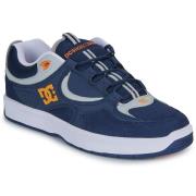 Lage Sneakers DC Shoes KALYNX 2