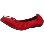 Ballerina's Wonders -