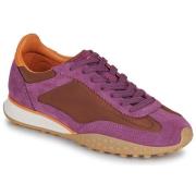 Lage Sneakers HOFF BRIDGE MKII BURGUNDY