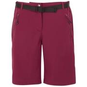 Korte Broek Regatta -