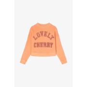 Sweater Le Temps des Cerises Sweater STEPHAGI