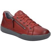 Lage Sneakers Josef Seibel -