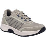 Lage Sneakers Josef Seibel -