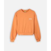 Sweater Oxbow Effen sweatshirt met ronde hals SARDI