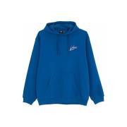 Sweater Vans VN000K4J - BRUSH SCRIPT LOOSE-7WM1 TRBI