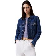 Spijkerjack Calvin Klein Jeans J20J225183