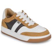 Lage Sneakers Citrouille et Compagnie FITOU