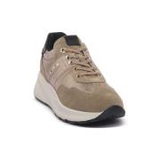 Lage Sneakers NeroGiardini NERO GIARDINI 501 AROLD VELO