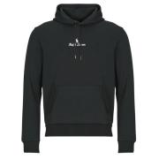 Sweater Polo Ralph Lauren SWEATSHIRT BRODE EN DOUBLE KNIT TECH