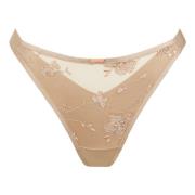 Strings Lisca String PASSION