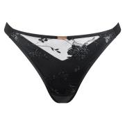 Strings Lisca String PASSION