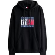 Sweater Tommy Hilfiger TJM REG RWB FLAG HOO DM0DM22092