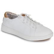 Lage Sneakers HEYDUDE PAUL PRO CLASSIC