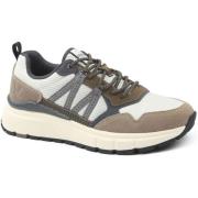 Lage Sneakers Lyle And Scott Lyle Scott Sneaker Lennox Earth Groen