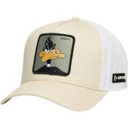 Pet Capslab Daffy Looney Tunes
